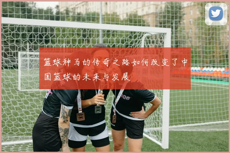 篮球种马的传奇之路如何改变了中国篮球的未来与发展